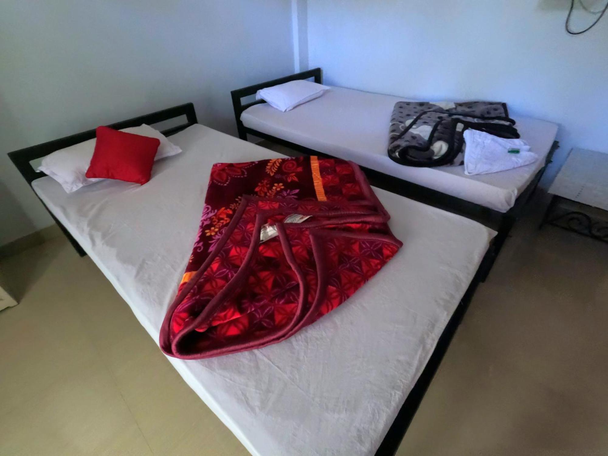 Kareng Party Camp N Homestay Kaziranga Bagian luar foto